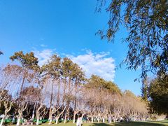 -滇池海埂公园