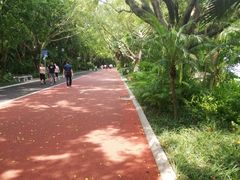 -南宁南湖公园