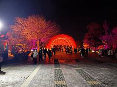 -台儿庄古城