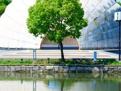 -上海吴淞炮台湾国家湿地公园