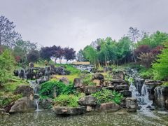 -秀丽东方
