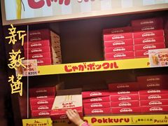 -中部国际机场