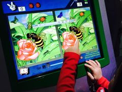 -上海昆虫博物馆