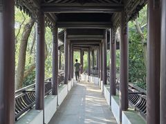 -上海佘山国家森林公园天马山园