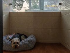 -汪说喵讲宠物乐园宠物酒店(红星美凯龙店)