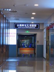 -小熊维尼高端儿童摄影(南山信和店)