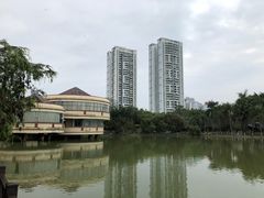 景点-金花茶公园
