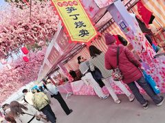 -南汇桃花村