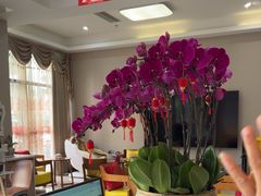 -土豆口腔(凤凰北总店)