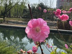 -元大都城垣遗址公园