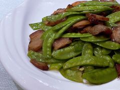 -上海尊茂酒店