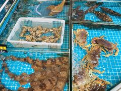 水产区-鑫鸿达·海鲜闽菜热炒小馆(中山路店)
