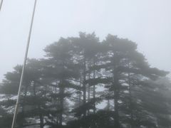 -黄山北海宾馆