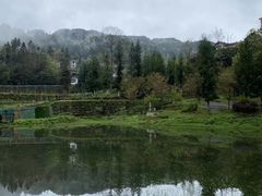 -梭布垭石林景区