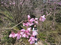 -天台山赤城山景区