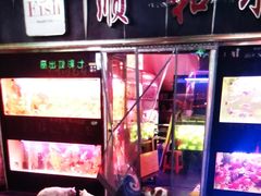 -中环花鸟鱼虫市场