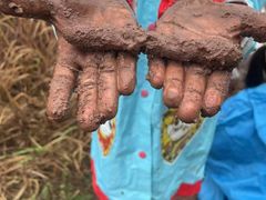 -宾果蒙特梭利托育儿童之家幼儿园(爱琴海店)