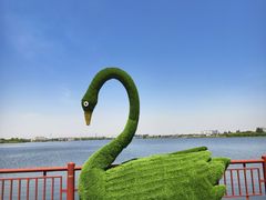 -鹅湖玫瑰文化园
