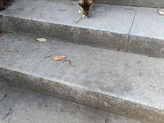 -燕晗山郊野公园