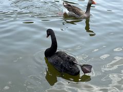 -杭州野生动物世界