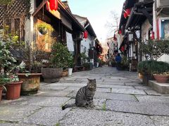 -小河直街历史文化街区