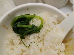豌豆尖-邱羊子烤全羊羊肉馆(中优·观澜店)