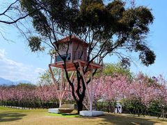 -福建鲤鱼洲酒店