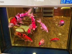 -满禾林火锅(丹东路店)