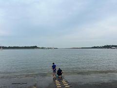 -日照海滨国家森林公园