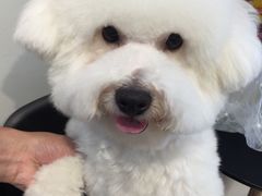 -PETKIT 小佩宠物·低压洗护·美容·寄养(安远店)