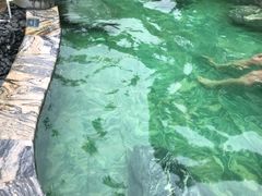 -英德宝晶宫天鹅湖茶语温泉