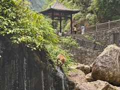 -三峡人家风景区