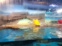 -海合安武汉极地海洋公园