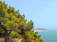 -青岛第二海水浴场