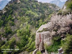 -泰山风景名胜区