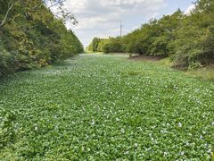 -上海海湾国家森林公园