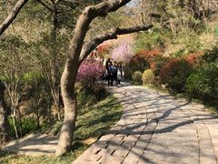 -青岛崂山太清宫