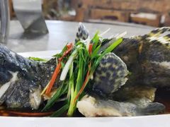 石斑鱼清蒸-四川小胡子海鲜(丁村万人海鲜广场店)