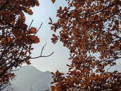 -玉渡山自然风景区