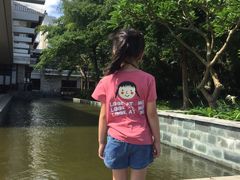 -采粤轩中餐厅(惠州金海湾喜来登度假酒店)