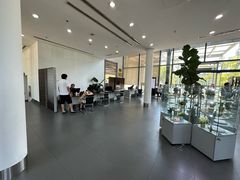 -利星行天竺之星汽车有限公司