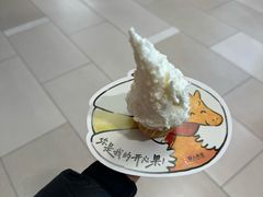 -野人先生现做冰淇淋(北京环宇荟店)