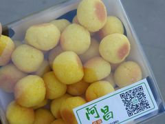 黄金椰丝球-阿昌烘焙