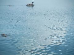 -台场海滨公园船码头