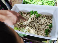 -昆虫窝子·特色云南菜(拓东路总店)