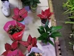 -三旗百汇商品城