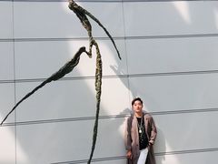 -凤凰中心