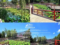-保定市动物园