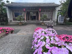 -邓氏大薄片