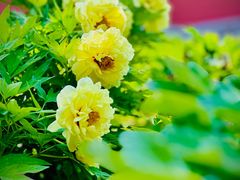 -大钟寺古钟博物馆